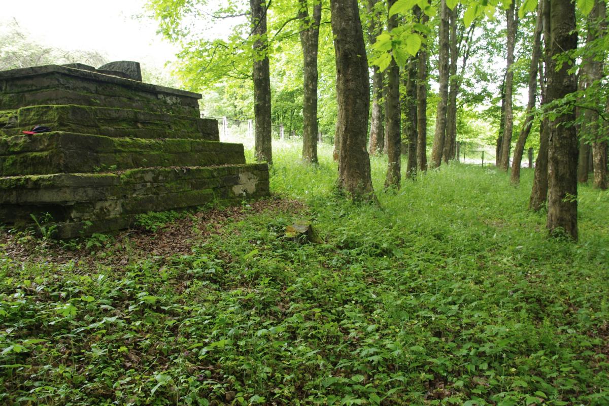 Wikipedia, Self-published work, World War I Cemetery nr 107 in Biecz