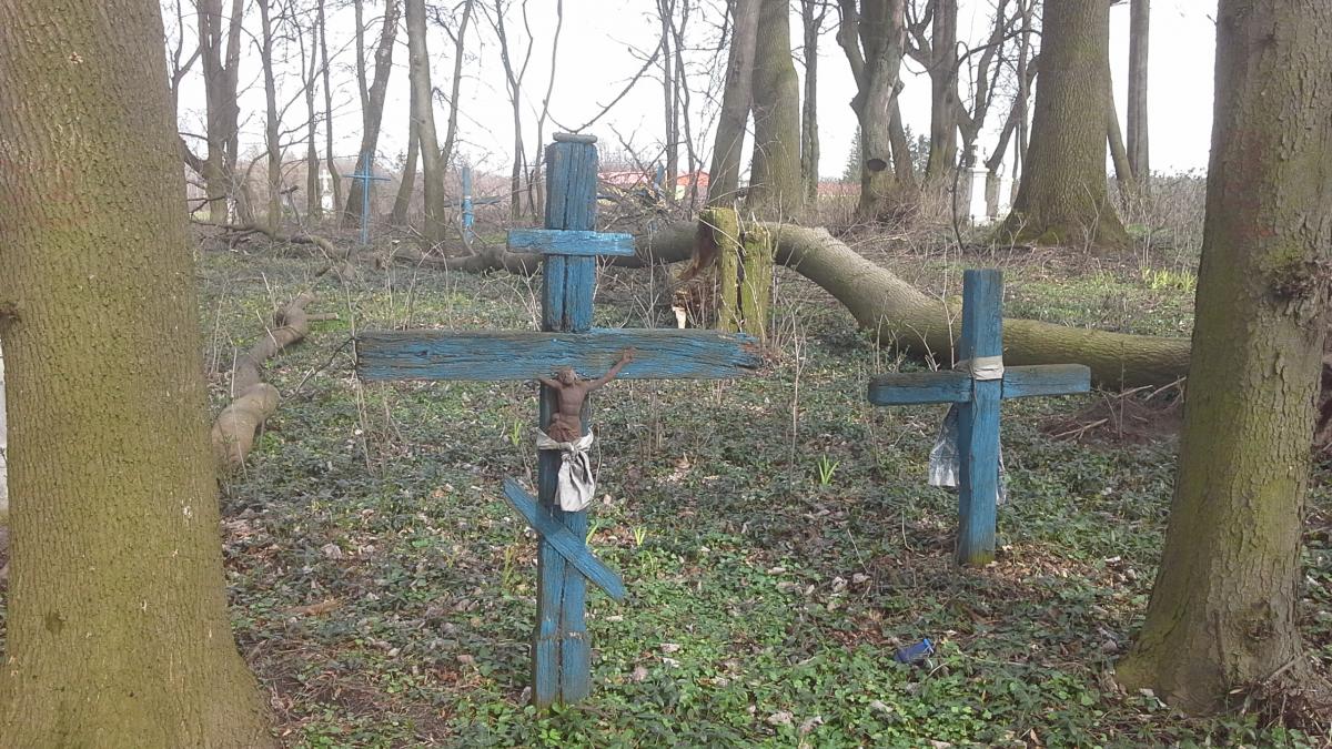 Wikipedia, Orthodox cemetery in Wereszyn, Self-published work