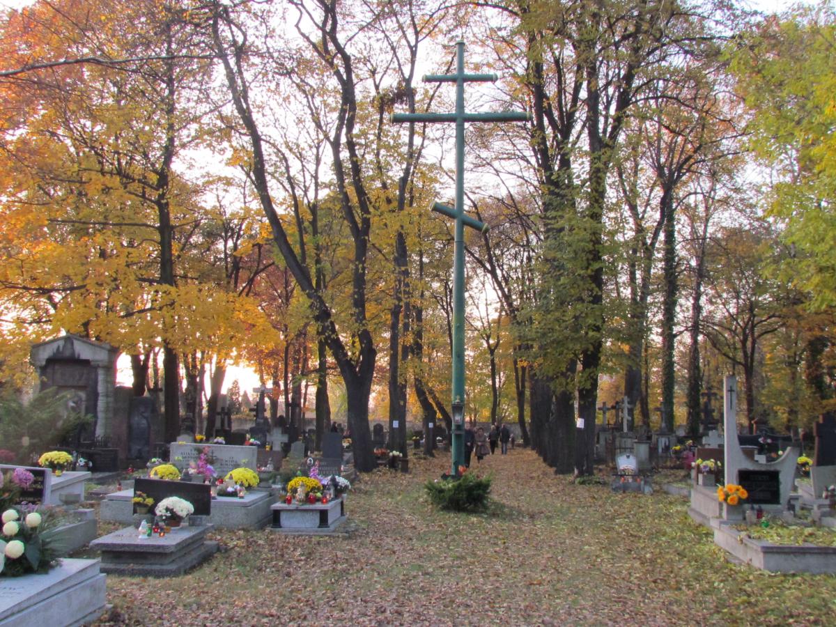 Wikipedia, Orthodox cemetery in Sosnowiec, Self-published work