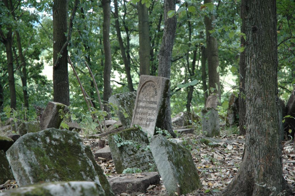 Wikipedia, Cultural heritage monuments in Poland with known IDs, Jewish Cemetery in Szczebrzeszyn, S