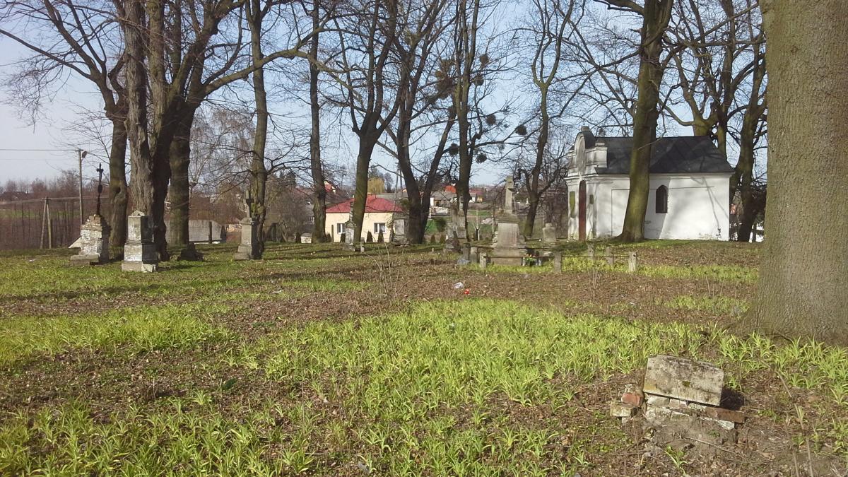 Wikipedia, Orthodox cemetery in Dziekanów, Self-published work