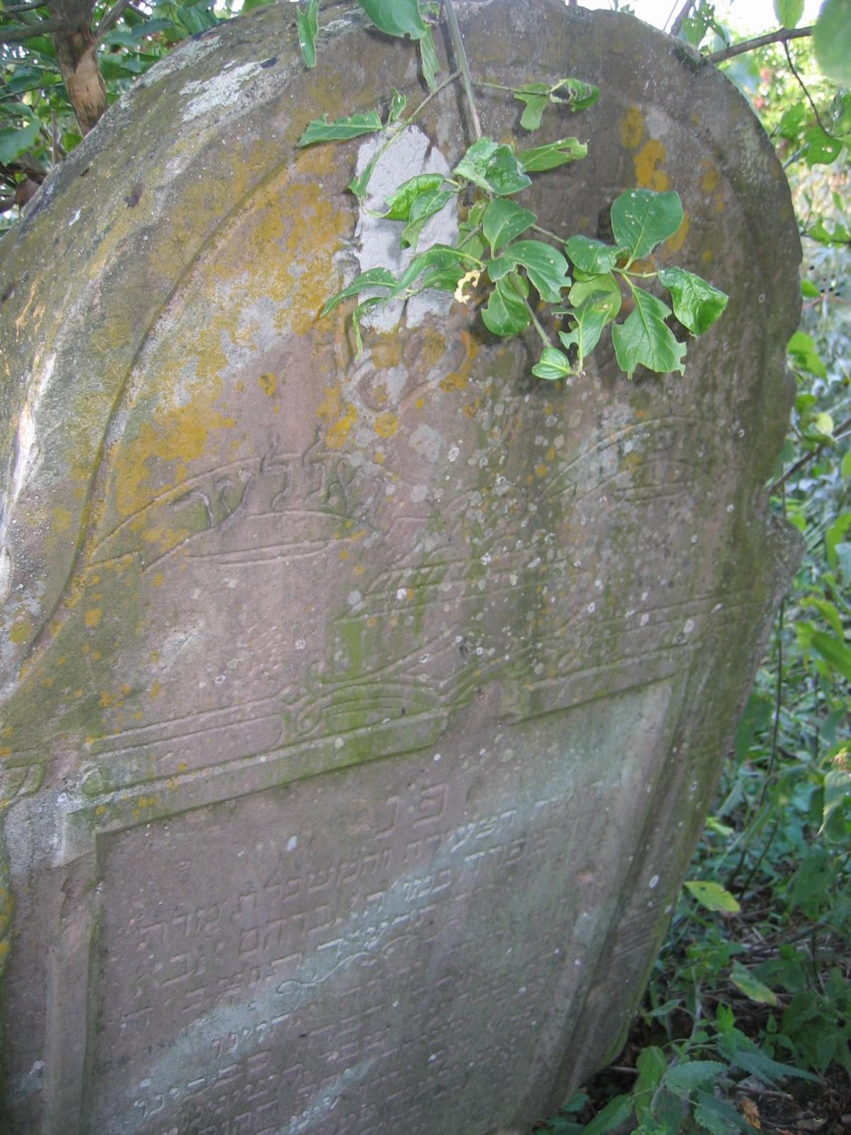 Wikipedia, Jewish cemetery in Radymno, Self-published work