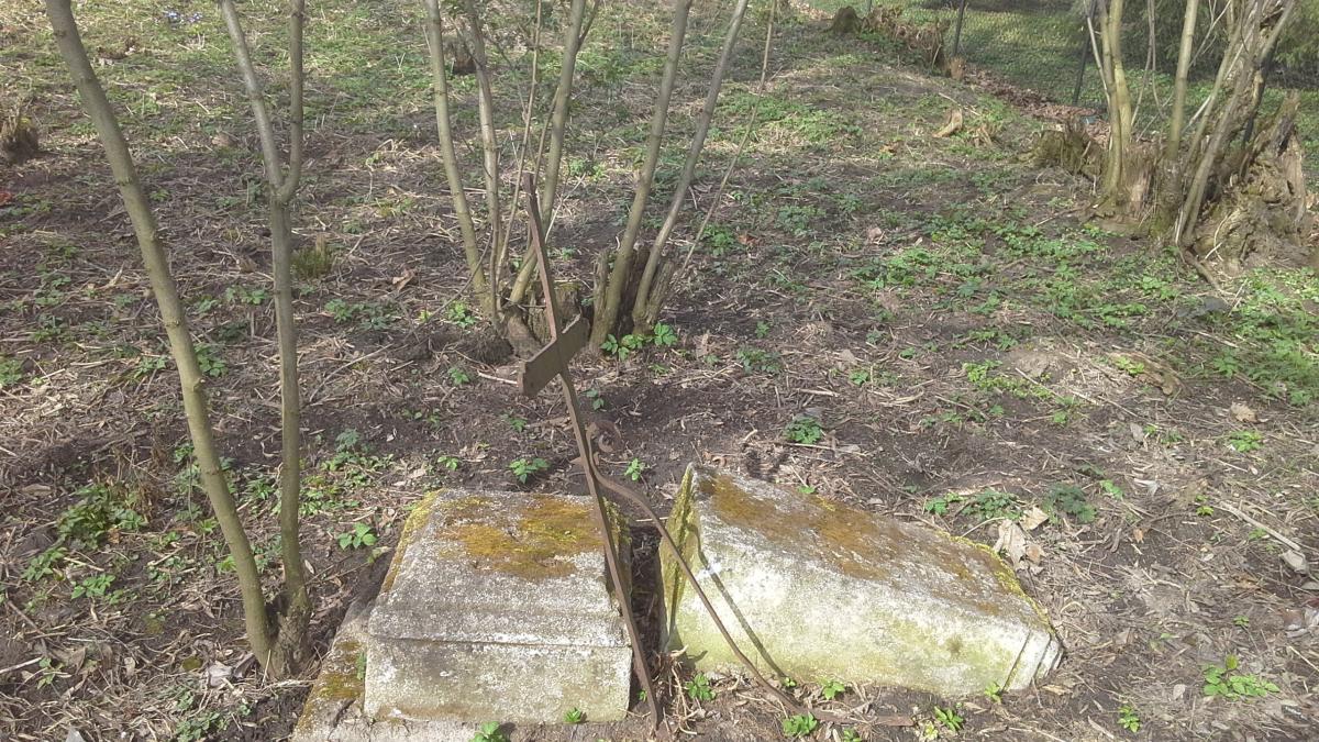 Wikipedia, Orthodox cemetery in Witków, Self-published work