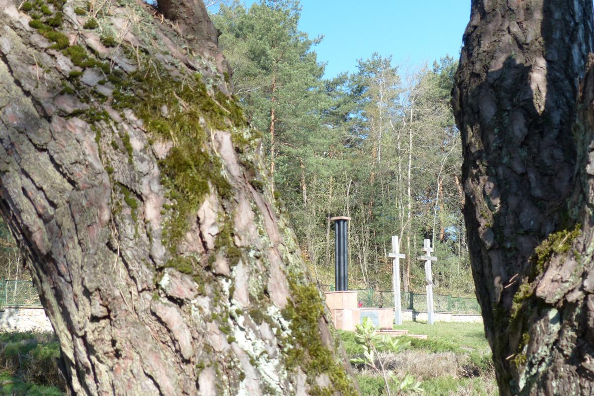 Wikipedia, Self-published work, Soviet prisoners of war cemetery in Kielce