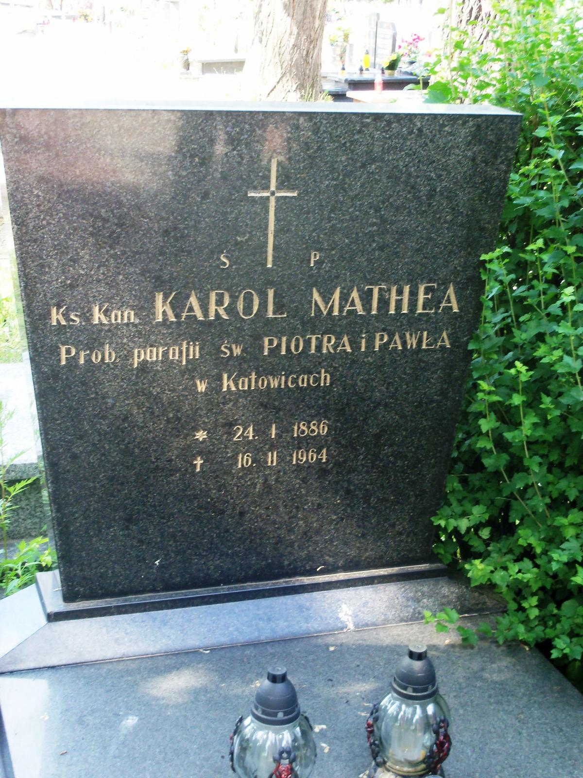 Wikipedia, Cemetery on Gliwicka Street in Katowice, Self-published work