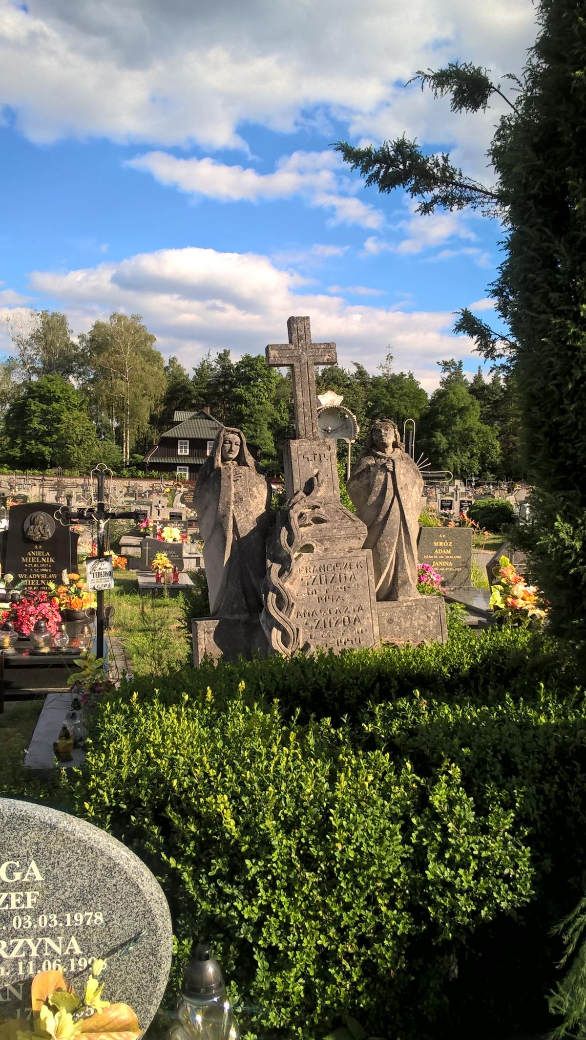 Wikipedia, Cemetery in Tereszpol, Self-published work