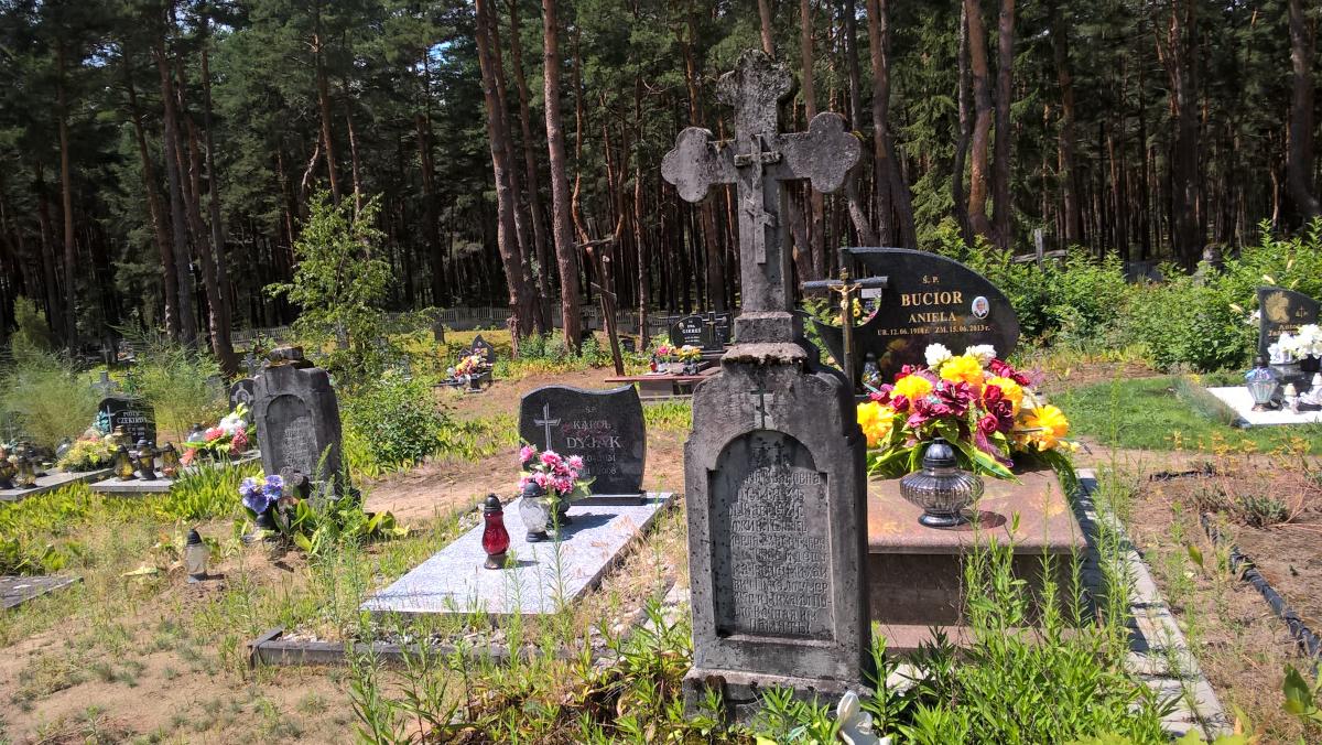 Wikipedia, Orthodox cemetery in Kulno, Self-published work
