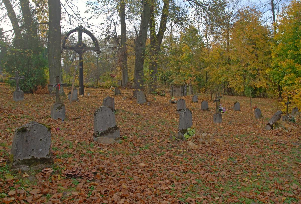 Wikipedia, Self-published work, World War I Cemetery nr 110 in Binarowa