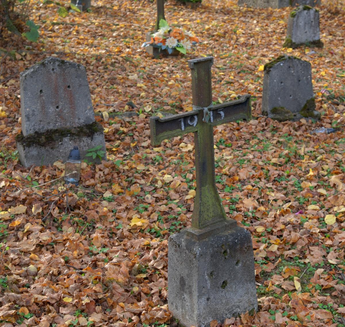 Wikipedia, Self-published work, World War I Cemetery nr 110 in Binarowa