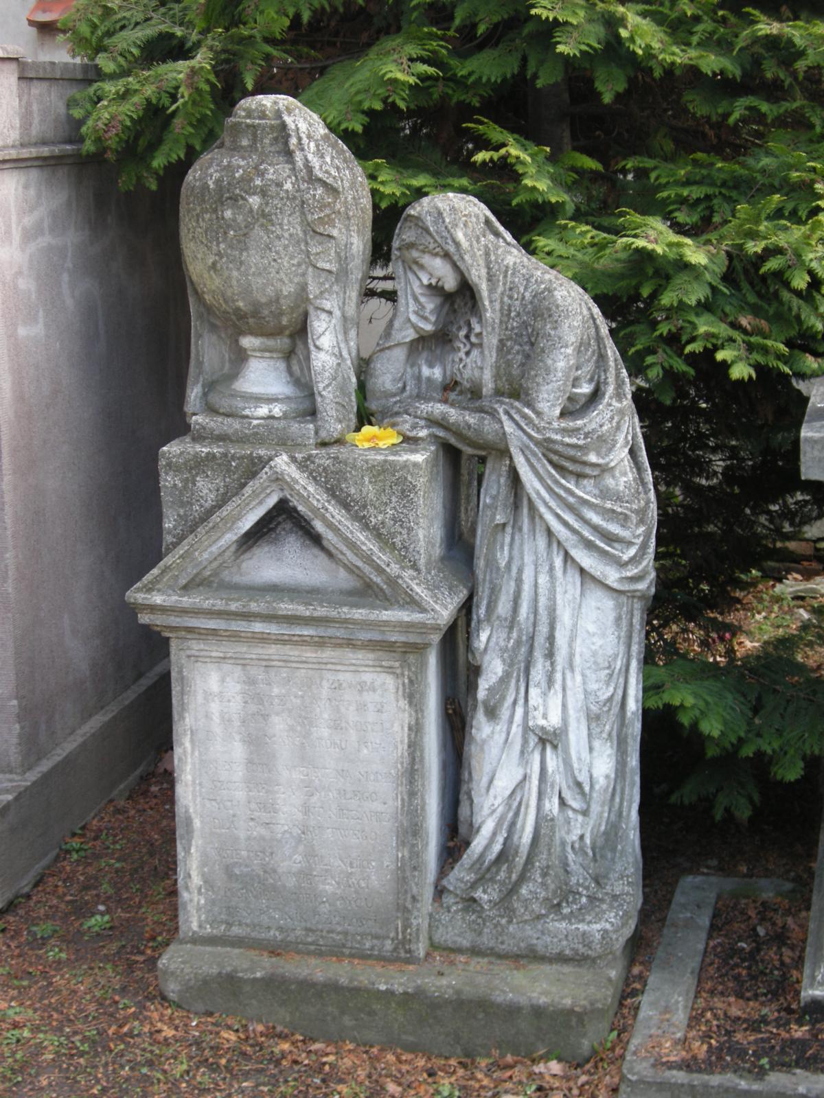 Wikipedia, Old Cemetery in Tarnów, Self-published work