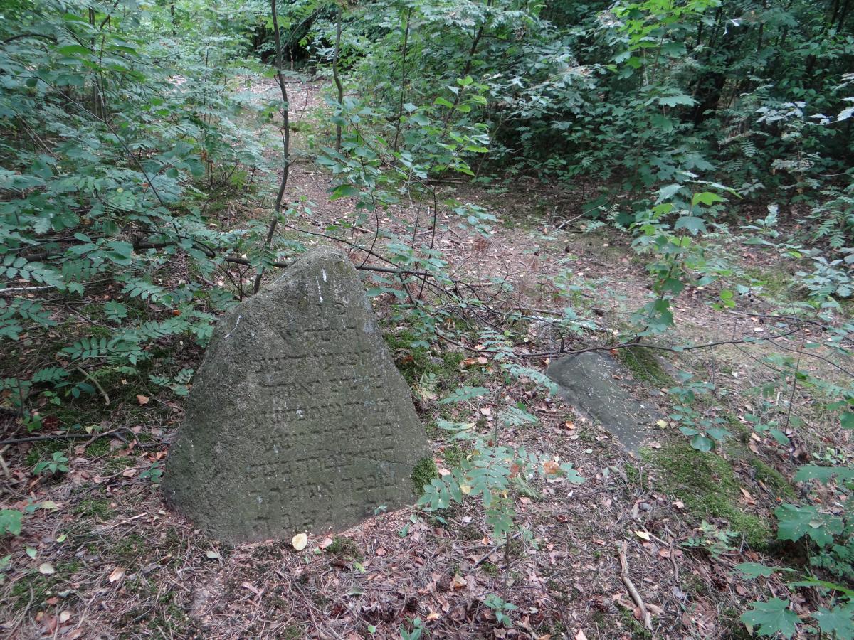 Wikipedia, Old Jewish cemetery in Brok, Self-published work