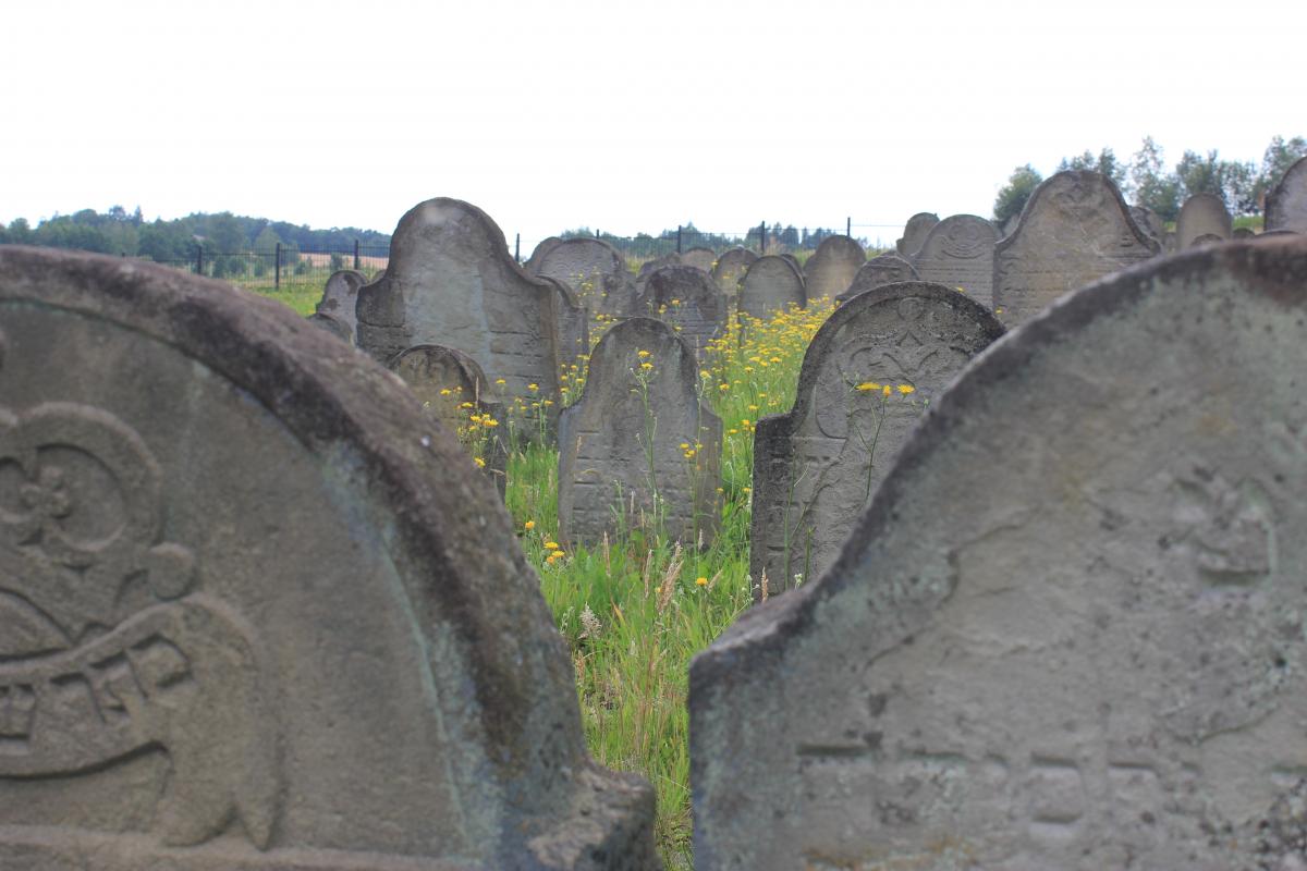 Wikipedia, Gravestones in Lesser Poland Voivodeship, Jewish cemetery in Ryglice, Photos by User:Andr