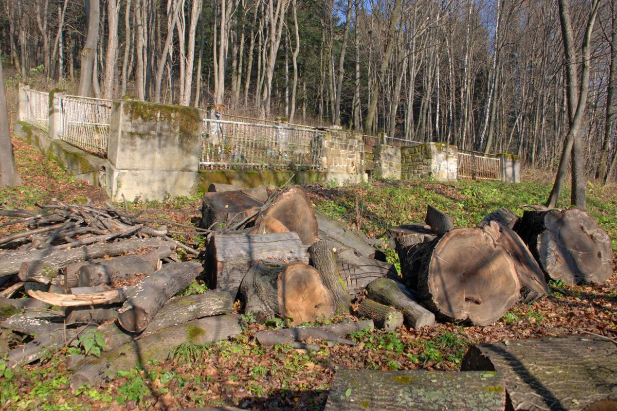 Wikipedia, Self-published work, World War I Cemetery nr 104 in Strzeszyn