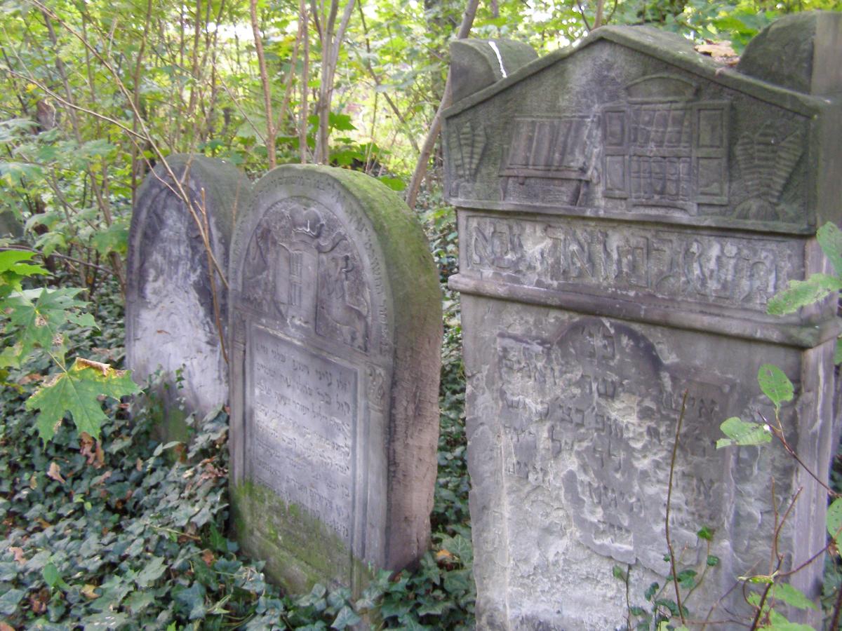 Wikipedia, Jewish cemetery in Tomaszów Mazowiecki, Self-published work