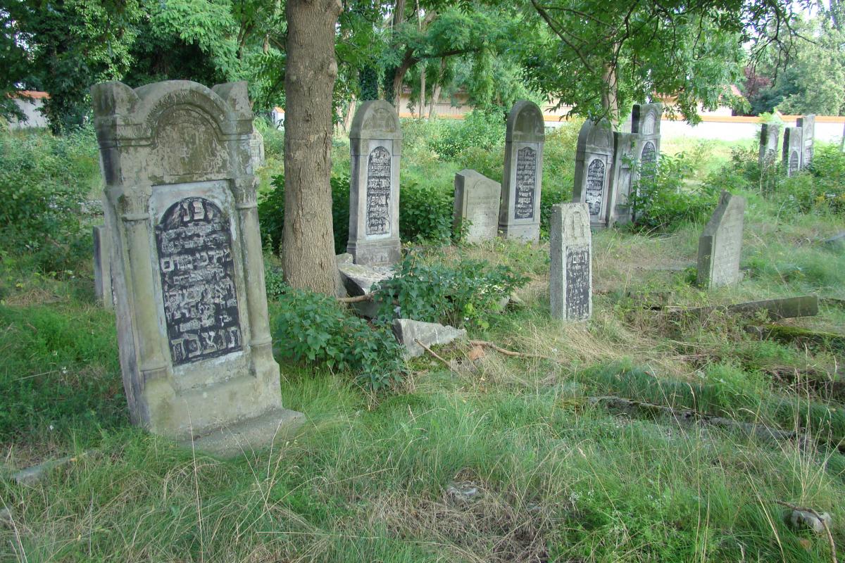 Wikipedia, Media with locations, New Jewish cemetery in Kalisz, Pages with maps, Panoramio files upl