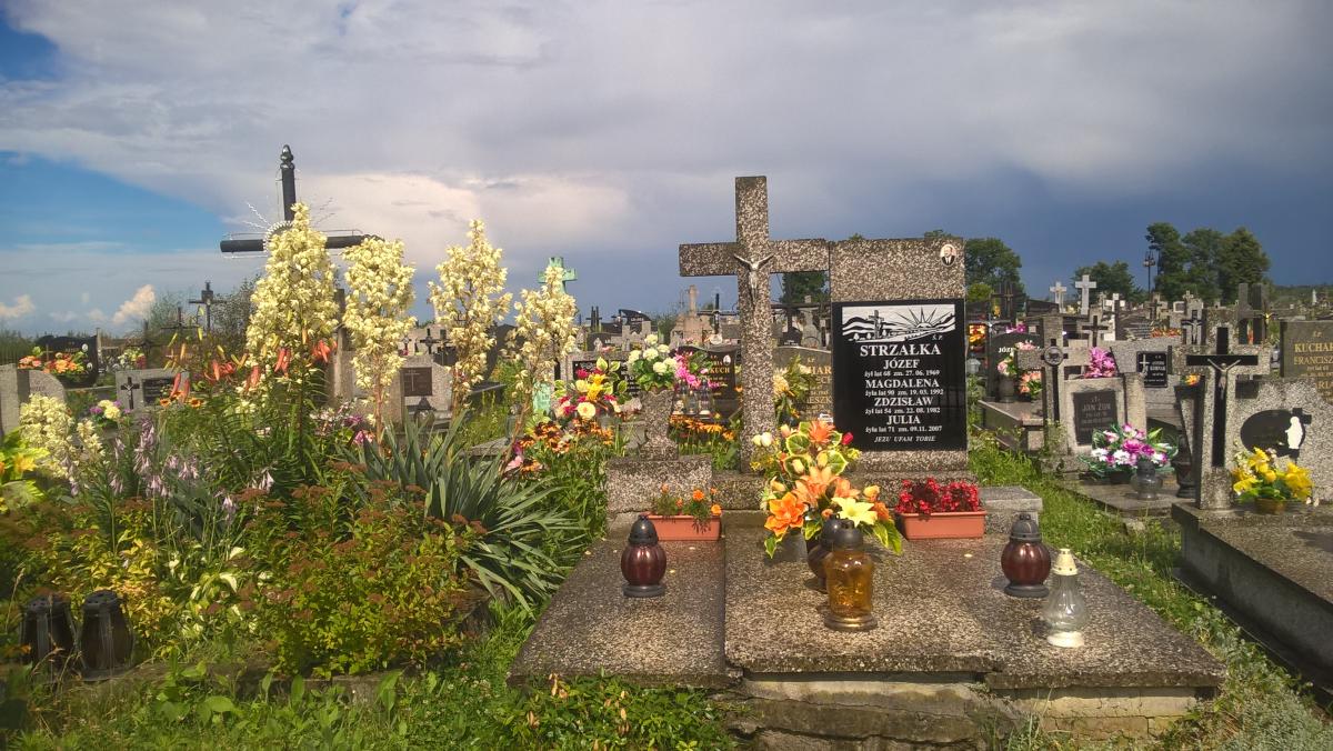 Wikipedia, Roman Catholic cemetery in Biszcza, Self-published work