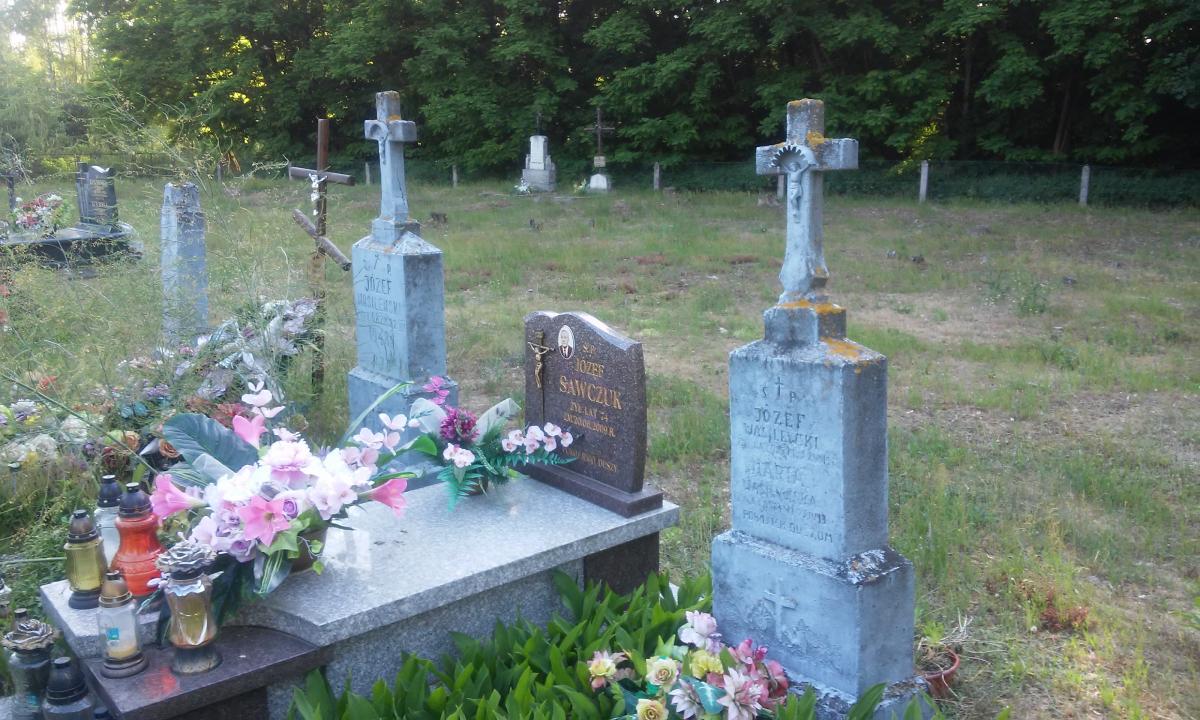 Wikipedia, Orthodox cemetery in Choroszczynka, Self-published work