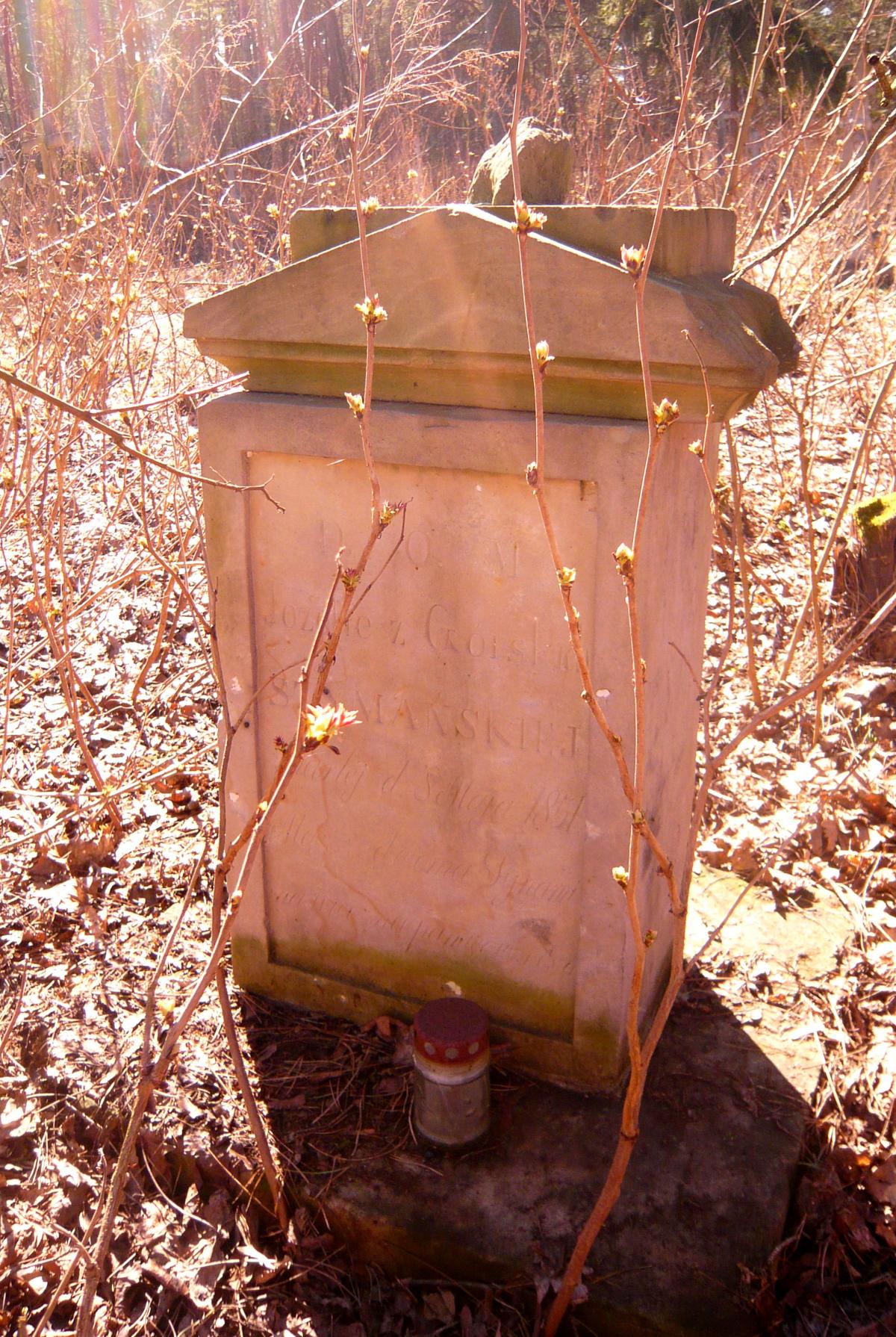 Wikipedia, Cemetery in Sobibór, Self-published work