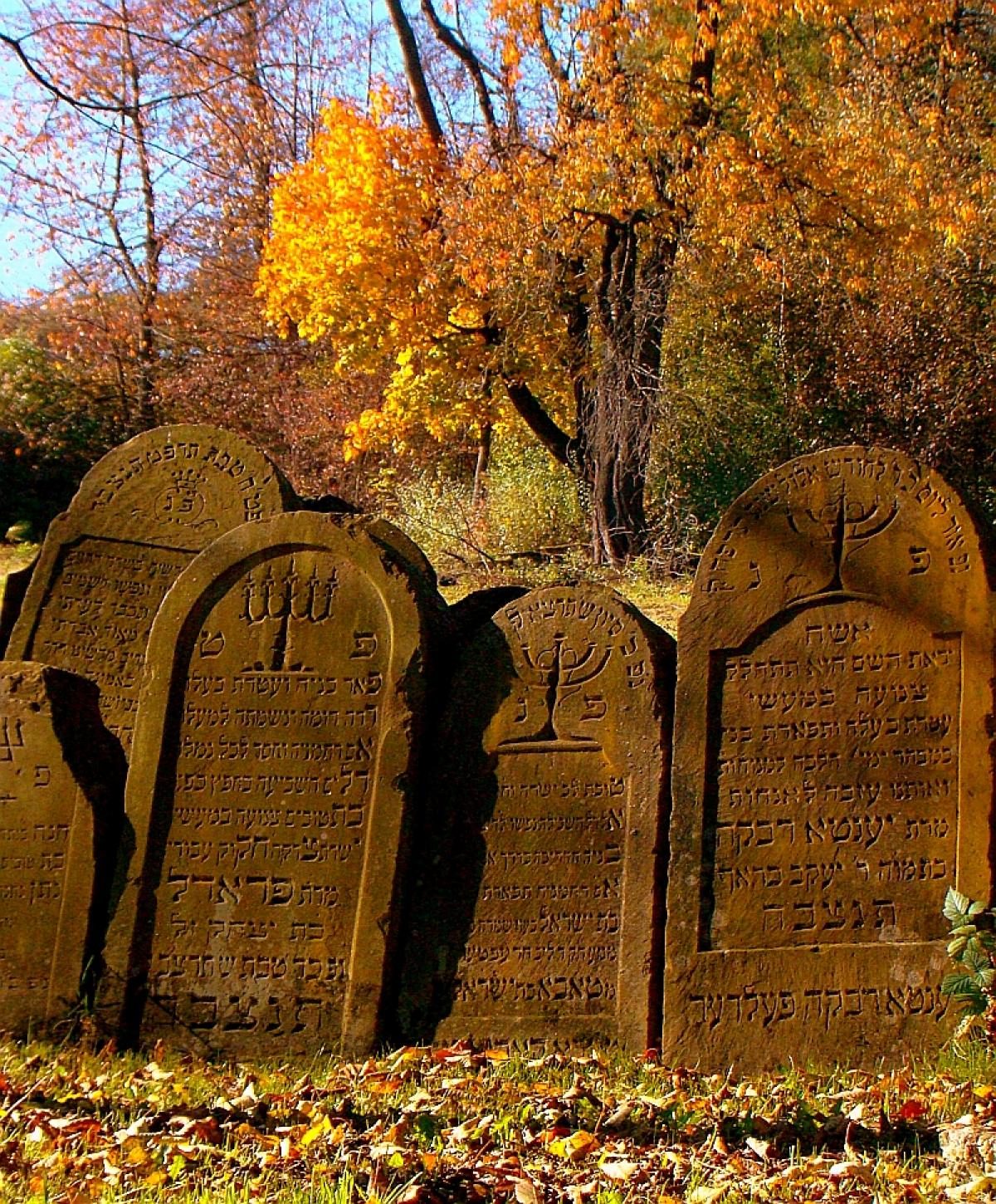 Wikipedia, New jewish cemetery in Sanok, Old jewish cemetery at Kiczury Street in Sanok, Self-publis