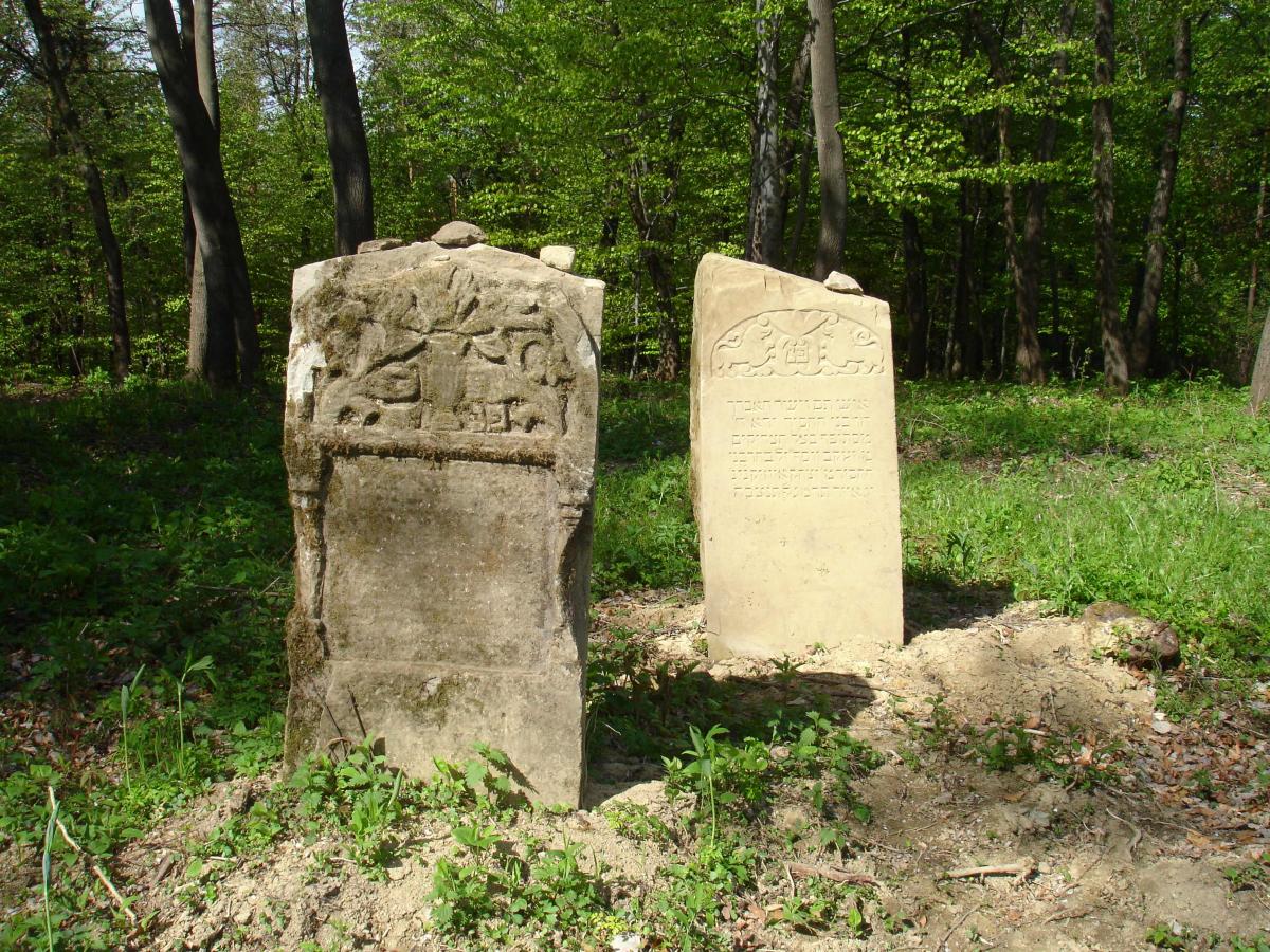 Wikipedia, Ewer on Jewish gravestones in Poland, Jewish Cemetery in Bukowsko, Lion of Judah on Jewis