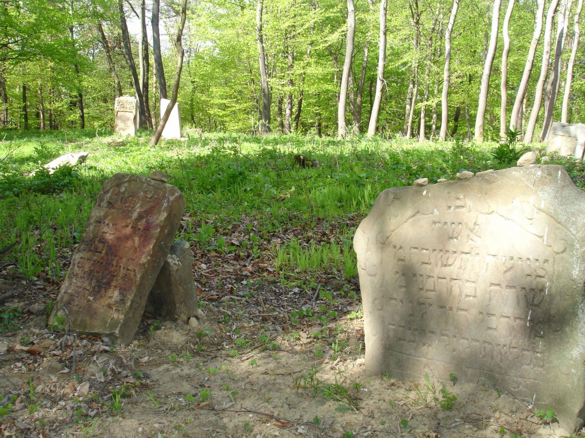 Wikipedia, Files with no machine-readable author, Jewish Cemetery in Bukowsko, Media lacking author 
