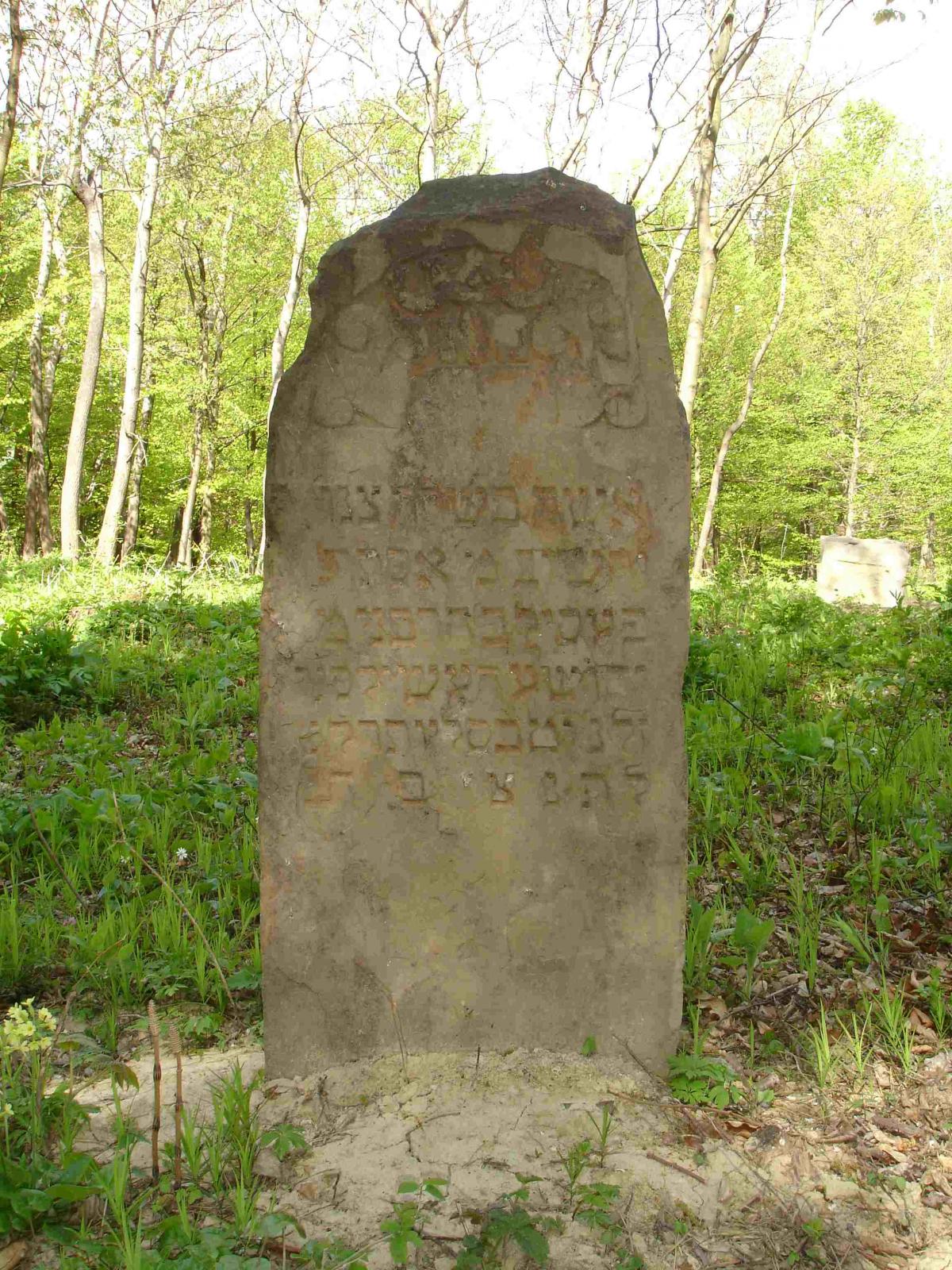 Wikipedia, Jewish Cemetery in Bukowsko, Self-published work