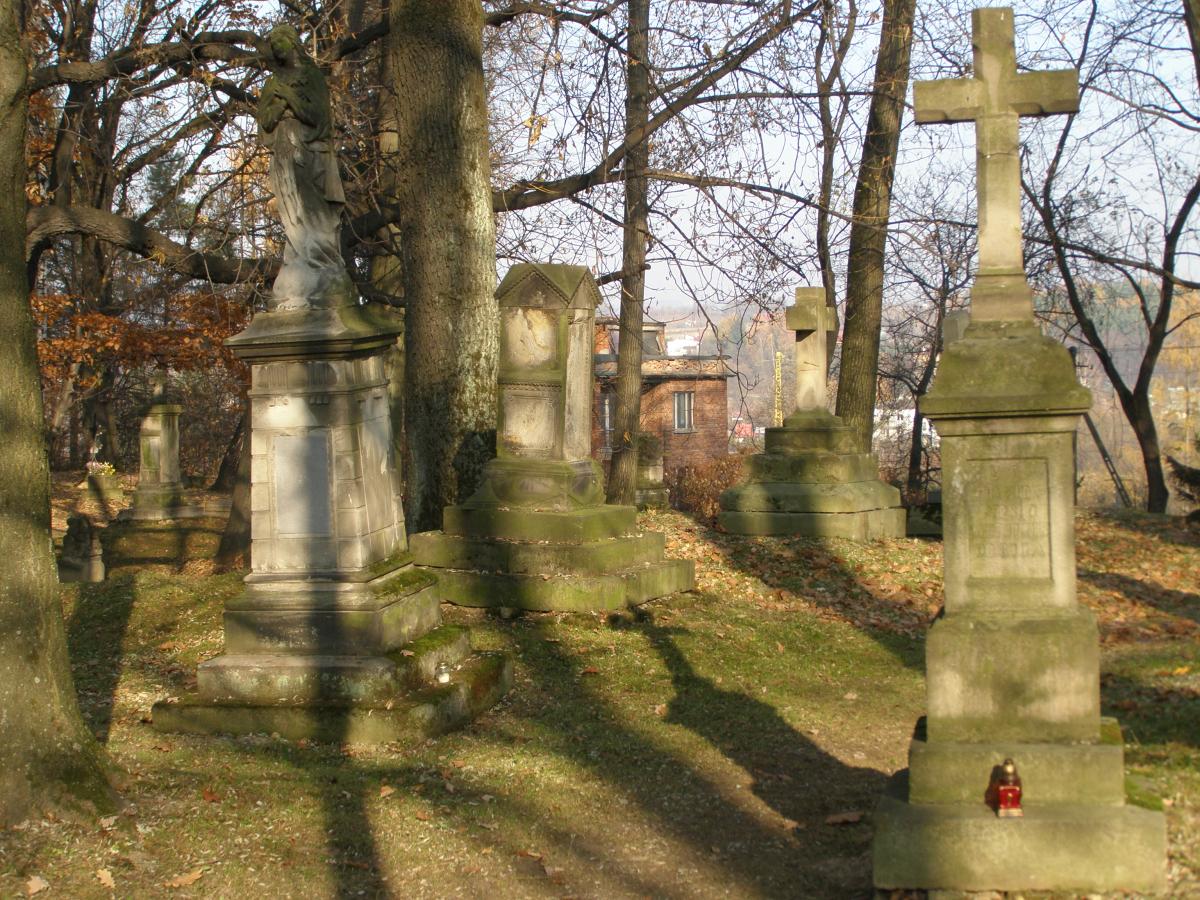 Wikipedia, Old Cemetery in Krosno, Self-published work