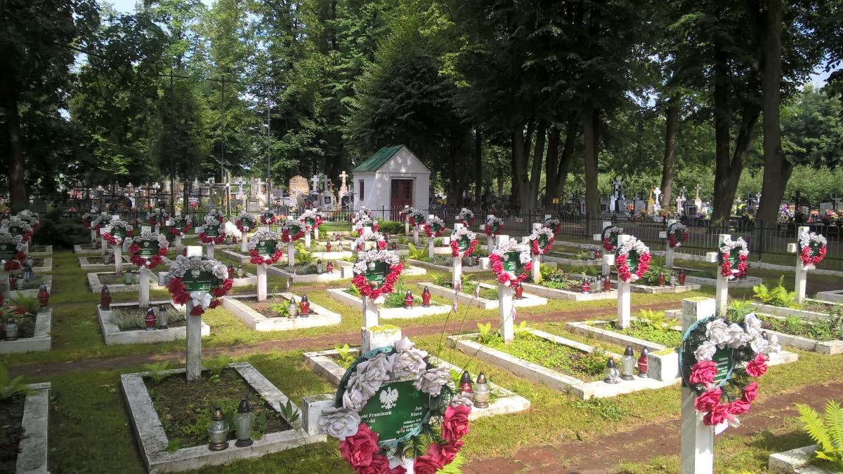 Wikipedia, Roman Catholic cemetery in Sól, Self-published work