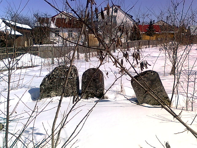 Wikipedia, Jewish Cemetery in Frampol, Self-published work