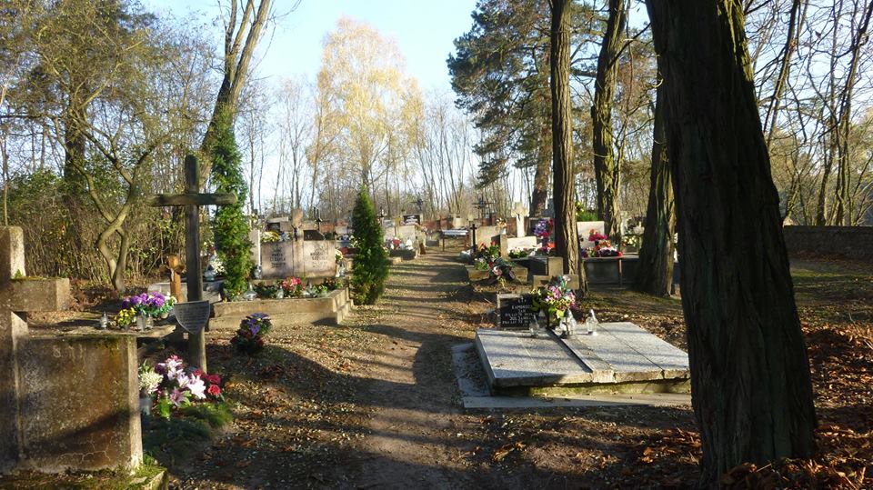 Wikipedia, Mariavite cemetery in Wólka Jeruzalska, Self-published work