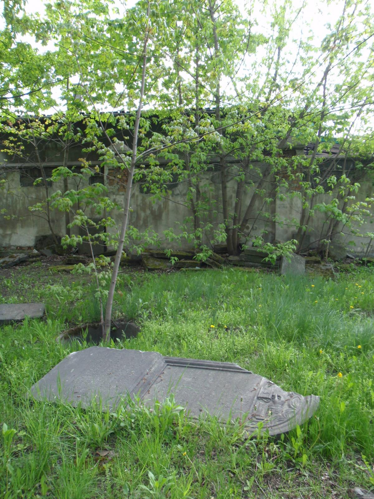 Wikipedia, Hands on Jewish gravestones in Poland, Jewish cemetery in Grodzisk Mazowiecki, Self-publi