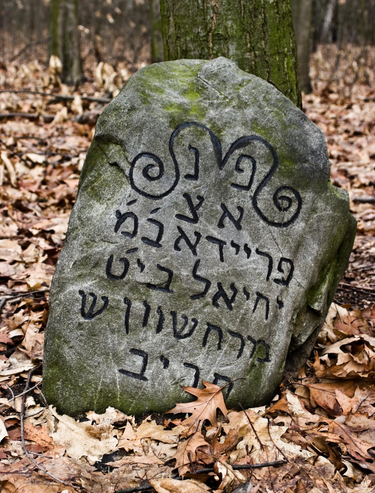 Wikipedia, Jewish cemetery in Kock, Media with locations, Pages with maps, Quality images, Self-publ