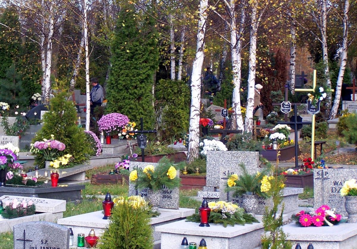Wikipedia, Cemetery on Murckowska Street in Katowice, Self-published work