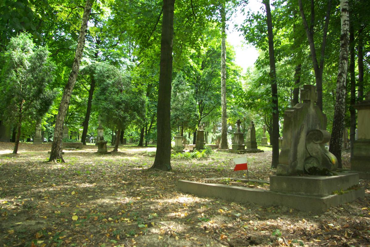 Wikipedia, Old Cemetery in Rzeszw, Photographs by Lowdown, Self-published work