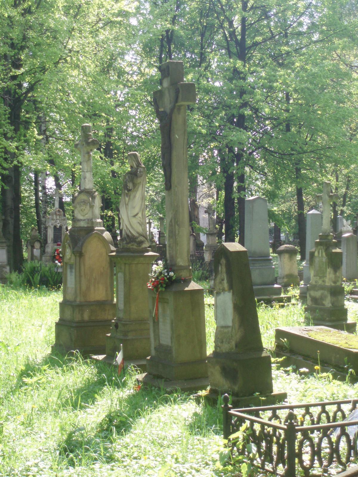 Wikipedia, Grave crosses in Poland, Old Cemetery in Rzeszw, Self-published work