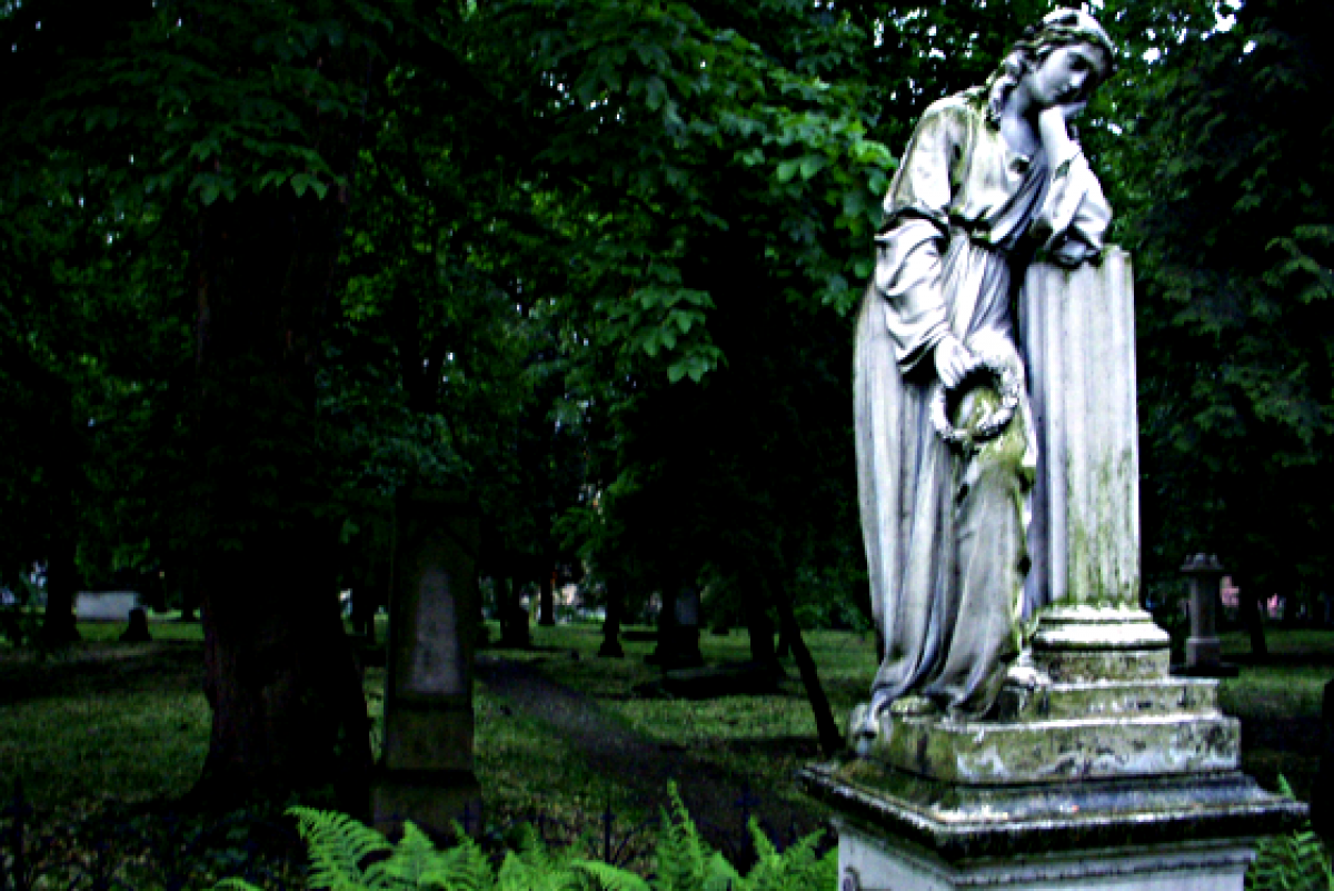Wikipedia, Flickr images reviewed by FlickreviewR, Human sadness in art, Old Cemetery in Rzeszw