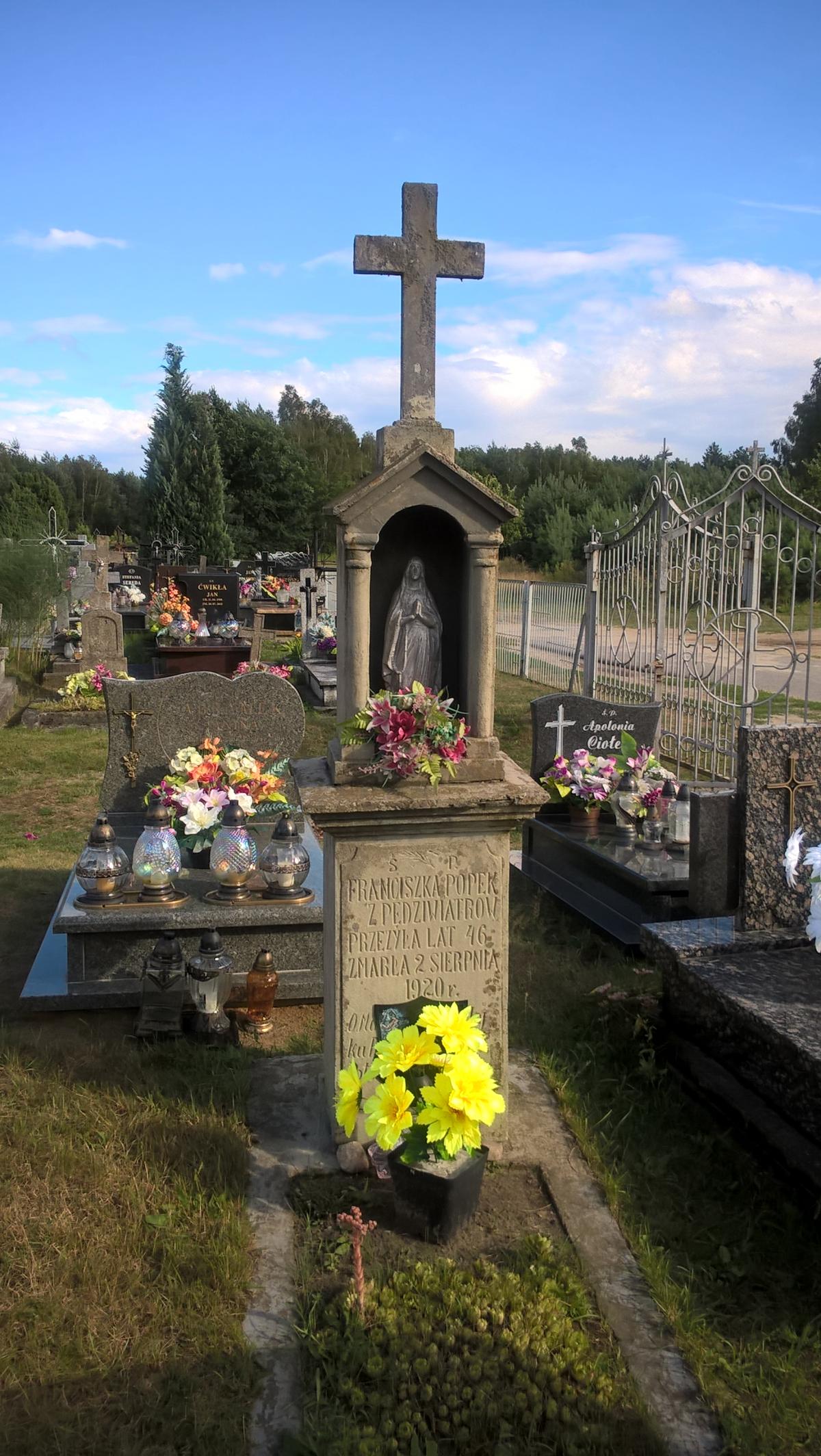 Wikipedia, Roman Catholic cemetery in Luchów Górny, Self-published work