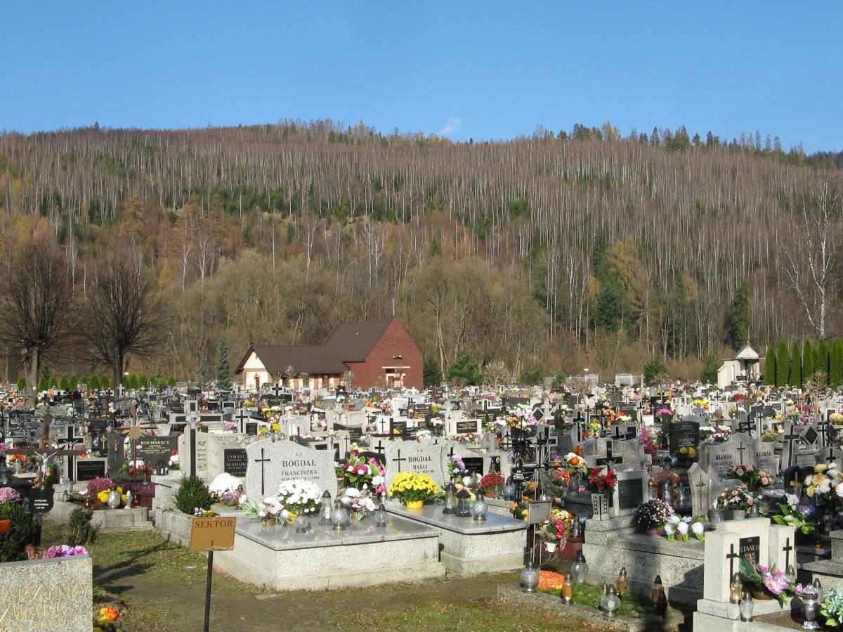 Wikipedia, Cemetery in Rajcza, Mountains in the Beskid Żywiecki, Self-published work