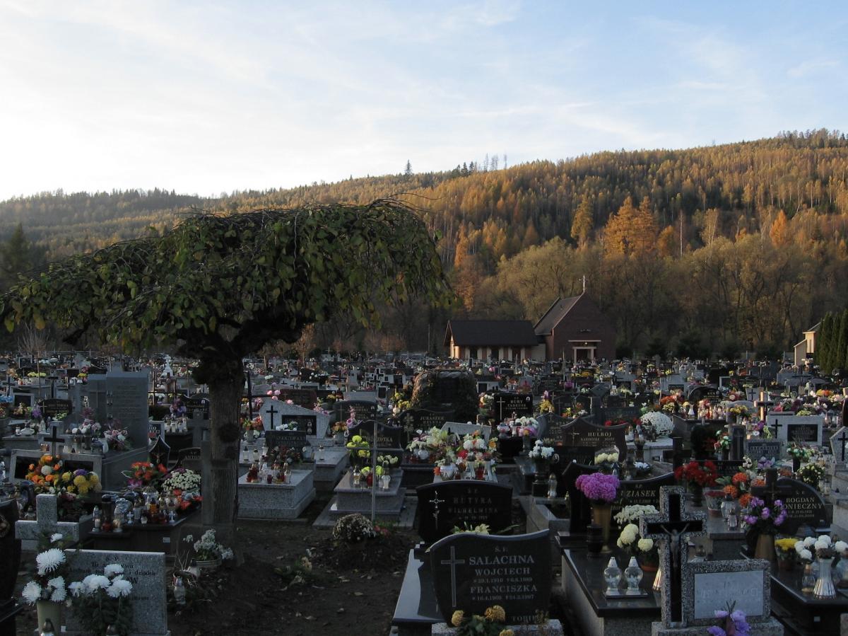 Wikipedia, Cemetery in Rajcza, Self-published work