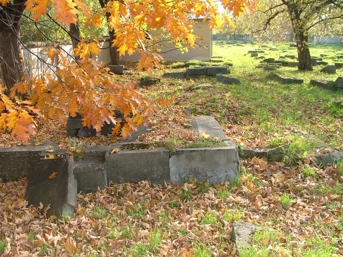 Wikipedia, Flickr images reviewed by trusted users, Jewish cemetery in Rzeszów