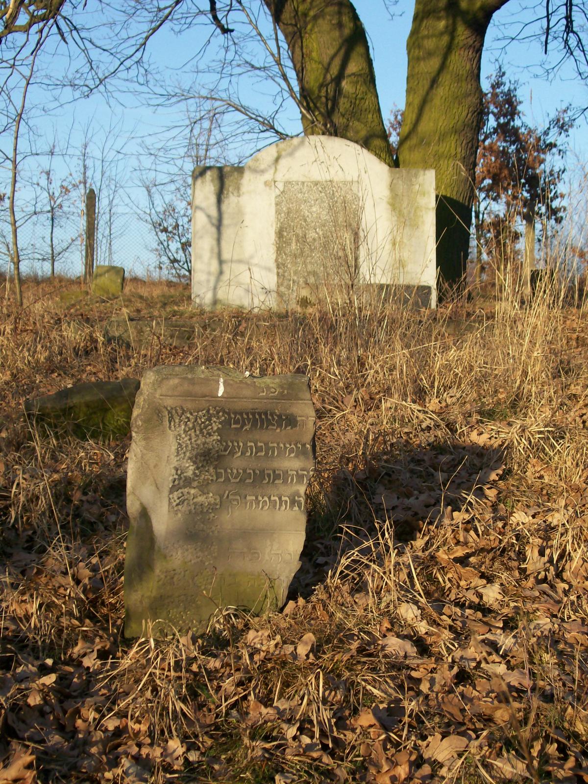Wikipedia, Jewish cemetery in Sierpc, Self-published work