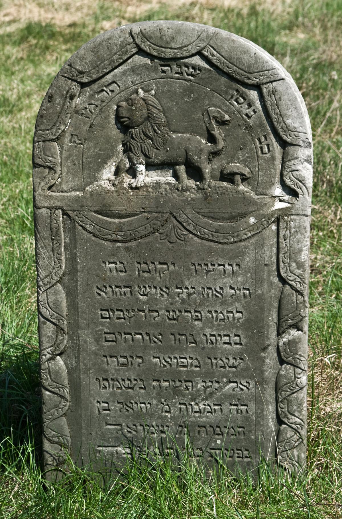 Wikipedia, Jewish cemetery in Ryki, Lion of Judah on Jewish gravestones in Poland, Media with locati