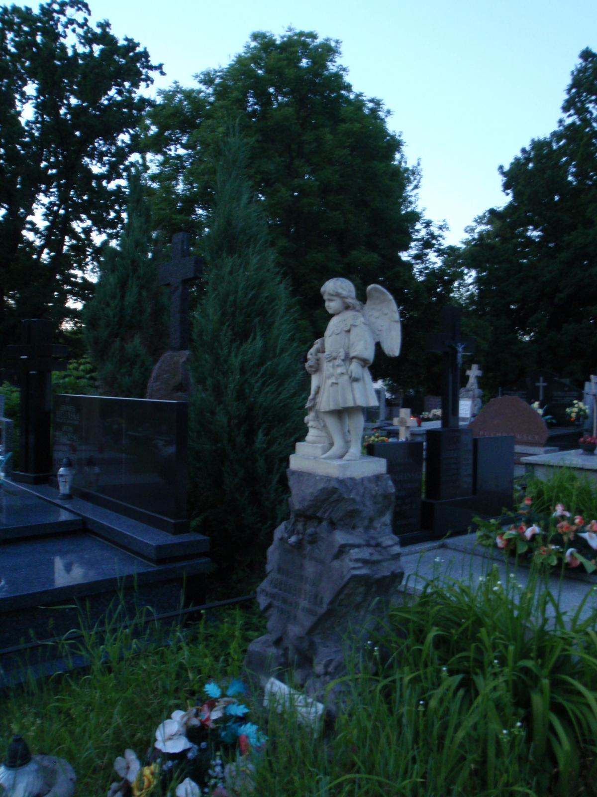 Wikipedia, Cemetery in Powsin, Self-published work