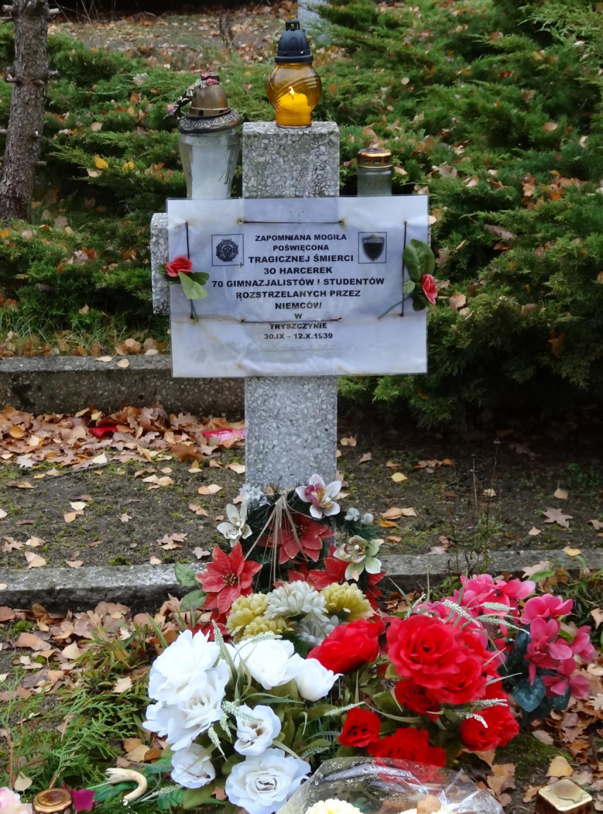 Wikipedia, Cmentarz Bohaterów Bydgoszczy, Self-published work