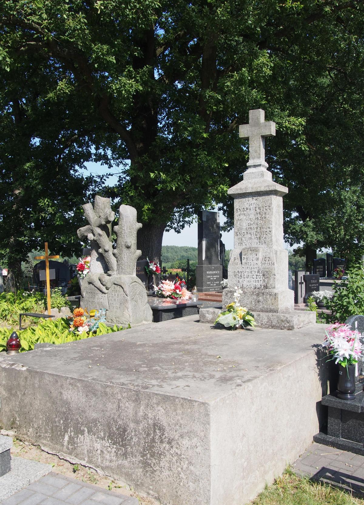 Wikipedia, Parish cemetery in Bogoria, powiat staszowski, Self-published work