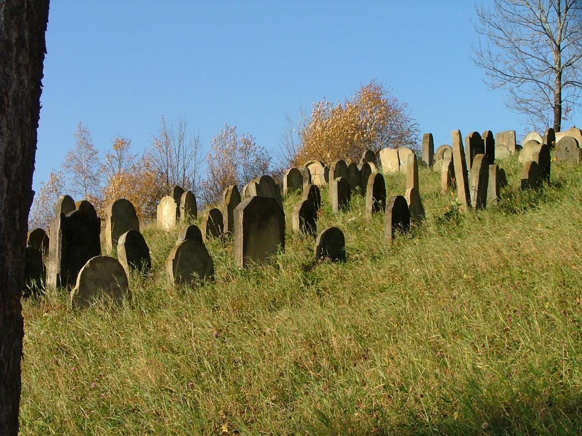 Wikipedia, Flickr images reviewed by FlickreviewR, Jewish cemetery in Bobowa, Photographs by Emmanue