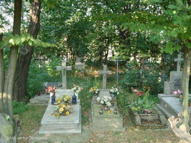 Wikipedia, Cmentarz mariawicki w Lublinie, Self-published work