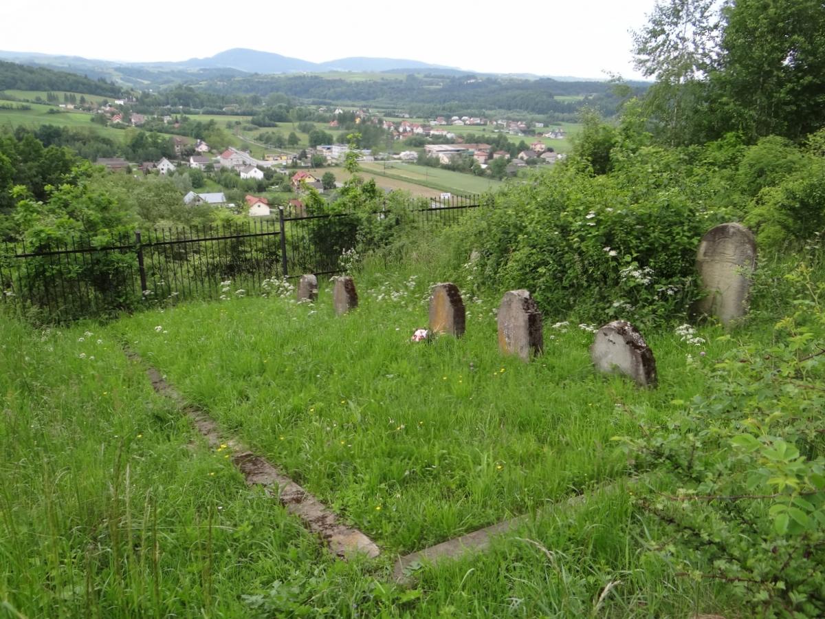 Wikipedia, Self-published work, World War I Cemetery nr 132 in Bobowa