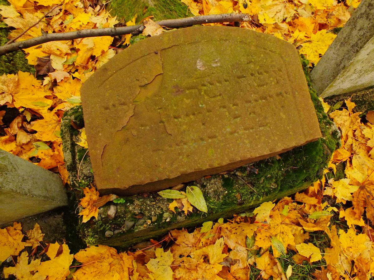 Wikipedia, Cultural heritage monuments in Poland with known IDs, Jewish cemetery in Bochnia, Self-pu