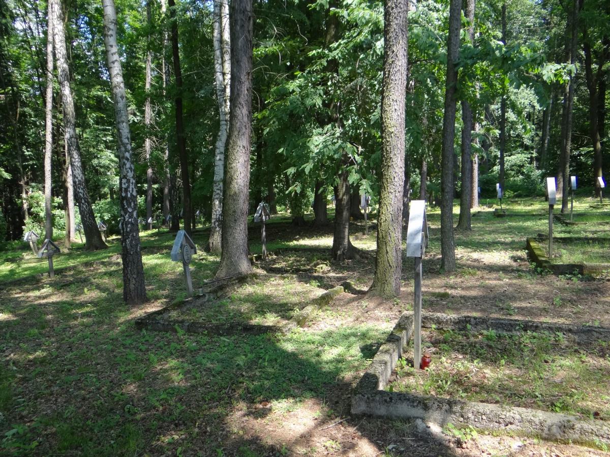 Wikipedia, Self-published work, World War I Cemetery nr 164 in Tuchów